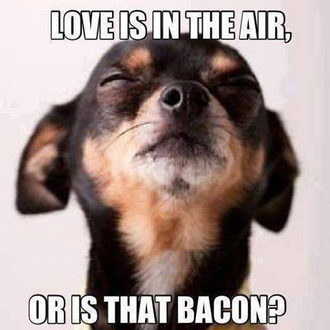 love is in the air or is that bacon, meme