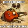here's one i wrote about licking my asshole, dog wearing sunglasses holding a guitar, meme