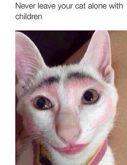 never leave your cat alone with children, make up
