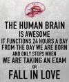 the human brain is awesome, it functions 24 hours a day from the day we are born and only stops when we are taking an exam or fall in love