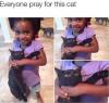 everyone pray for this cat, little girl holding cat by its neck