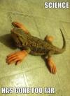 science has gone too far, lizard with human hands and feet