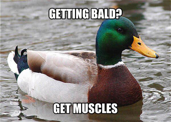 getting bald?, get muscles, actual advice mallard, meme