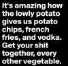 it's amazing how the lowly potato gives us potato chips french fries and vodka, get your shit together other vegetables