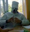 i have no idea what i'm cooking, dog in chef outfit