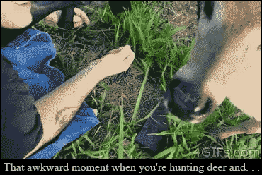 that awkward moment when you are hunting deer and...