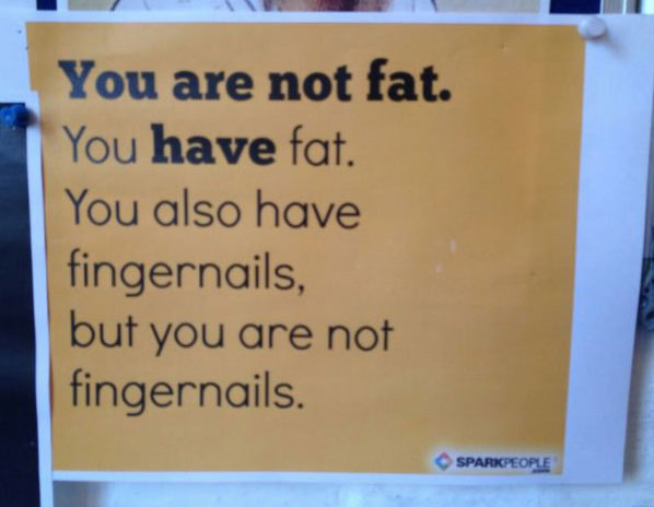 you are not fat, you have fat, you also have fingernails but you are not fingernails