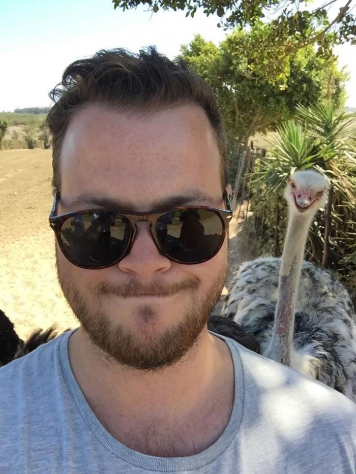photobombed by an ostrich