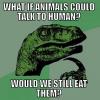what is animals could talk to humans, would we still eat them?, philosopraptor, meme