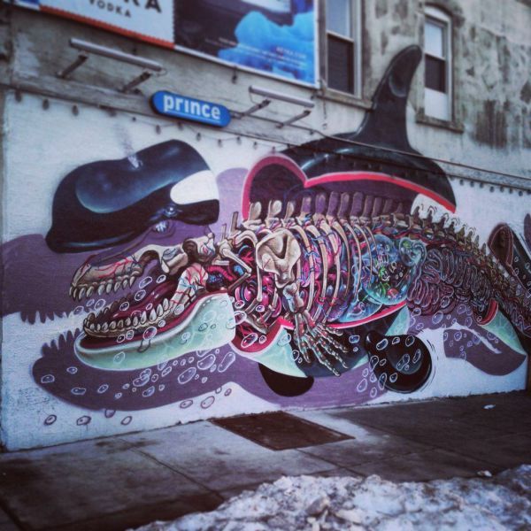 killer whale exposed in this wicked graffiti
