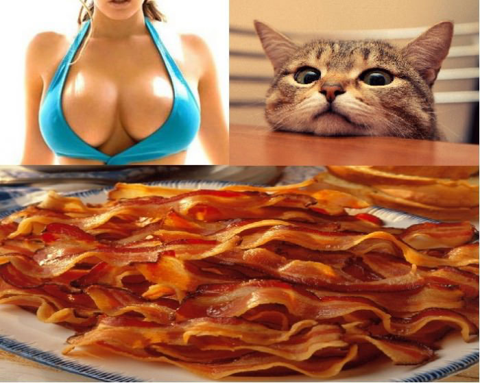 the three things that make the internet a great place, boobs cats and bacon