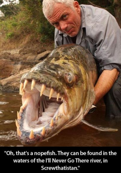 oh that's a nopefish, they can be found in the waters of the i'll never go there river, in screwthatistan