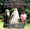 gandalf the grey, saruman the white, peter the pink, the great wizards of middle earth