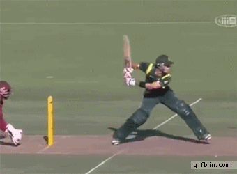 amazing one-handed cricket catch (kieron pollard)