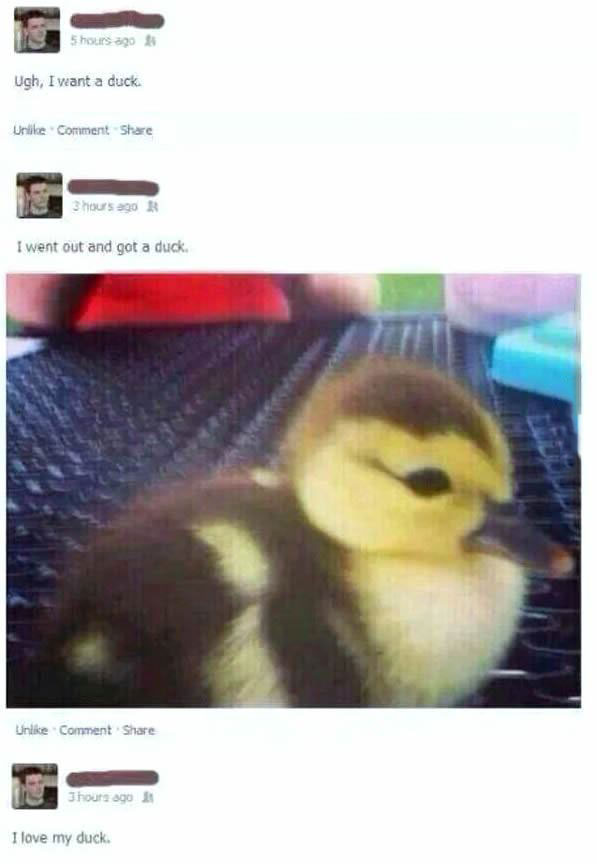 i want a duck, i went out and got a fuck, i love my duck