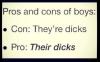the pros and cons of boys, con they're dicks, pro their dicks