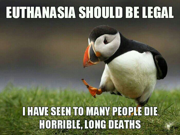 euthanasia should be legal, i have seen too many people die horrible long deaths, unpopular opinion puffin, meme