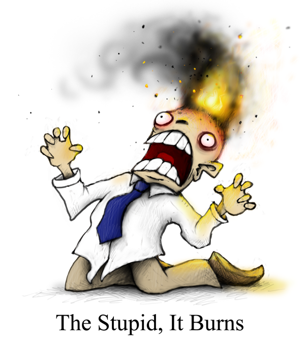 the stupid it burns