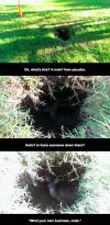 the kinds of things you find inside holes in australia