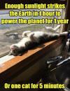 enough sunlight strikes sthe earth in one hour to power the planet for one year, or one cat for 5 minutes