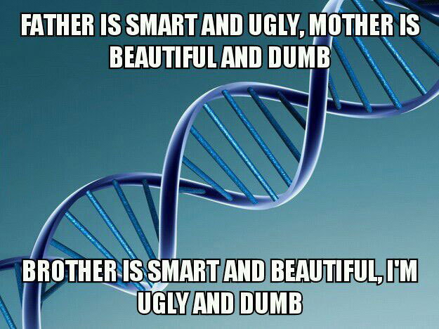 father is smart and ugly, mother is beautiful and dumb, brother is smart and beautiful, i'm ugly and dumb, scumbag genes, meme