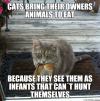cats bring their owners animals to eat because they see them as infants that can't hunt themselves, meme