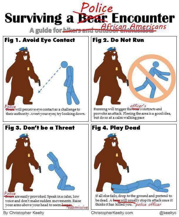 surviving a bear police encounter, a guide for african americans 