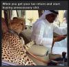 when you get your tax return and start buying unnecessary shit, leopard in car in saudi arabia