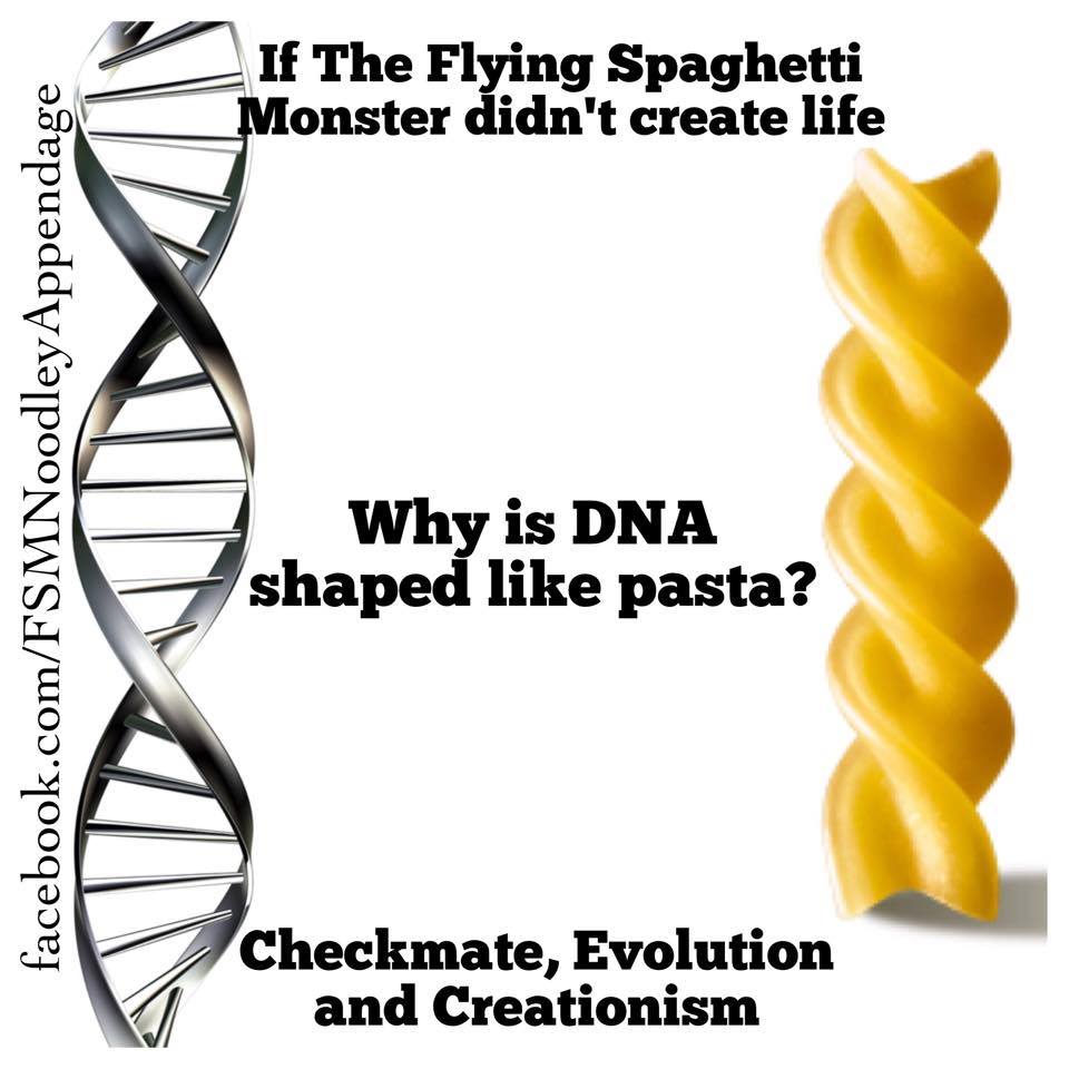 if the flying spaghetti monster didn't create life, why is dna shaped like pasta, checkmate evolution and creationism