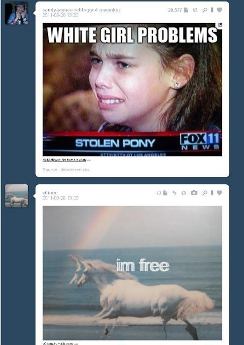 white girl problems, stolen pony, im free, coincidental image placement