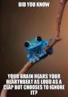 did you know your brain hears your heartbeat as loud as a clap but chooses to ignore it, small fact frog, meme