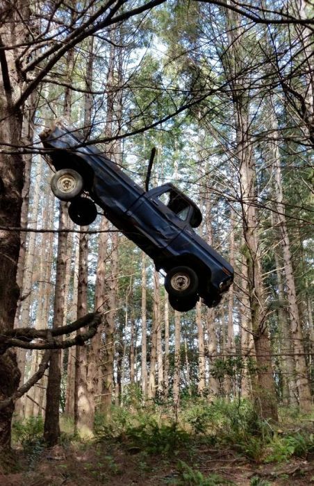 how does something like this even happen?, truck stuck in trees