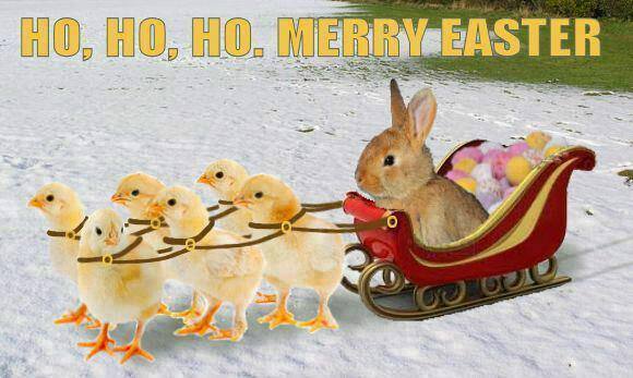 ho ho ho merry easter, easter bunny in a sleigh being pulled by chicks