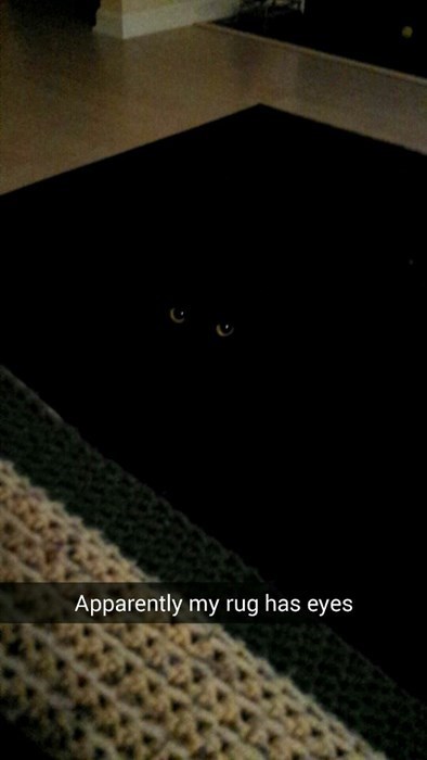 apparently my rug has eyes