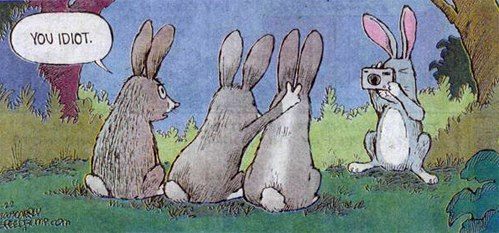 bunny puts bunny ears on bunny for photo, you idiot