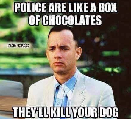 police are like a box of chocolates, the'll kill your dog