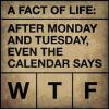 a fact of life, after monday and tuesday even the calendar says wtf