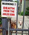 warning !! death from the ankles down, little dogs, sign