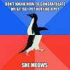don't know how to congratulate my gf so i pet her like a pet, she meows, socially awkward penguin, meme
