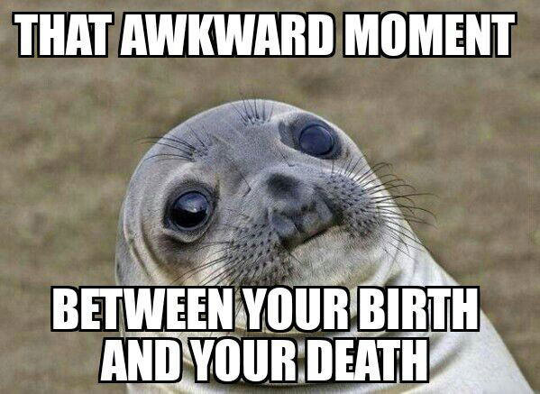 that awkward moment between your birth and your death, awkward moment seal, meme