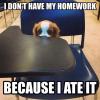 i don't have my homework because i ate it, puppy on a desk, meme