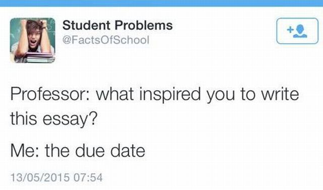 what inspired you to write this essay?, the due date, twitter, student problems