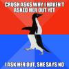 crush asks why i haven't asked her out yet, i ask her out she says no, socially awkward penguin, meme