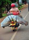 huge fish on the back of a motorcycle, a good day fishing