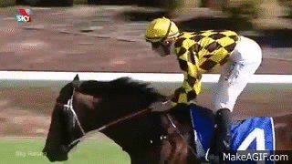 jockey shows world his butt