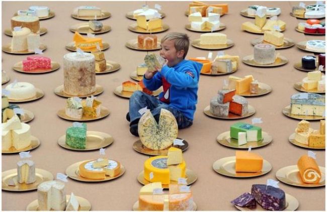 little boy trying out various cheeses