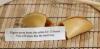 pigeon poop burns the retina for 13 hours, you will learn this the hard way, fortune cookie, wtf, lol