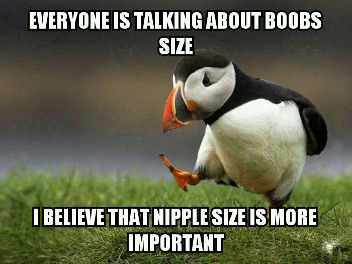 everyone is talking about boob size, i believe that nipple size is more important, unpopular opinion puffin, meme