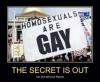 homosexuals are gay, the secret is out, run and tell your friends, motivation