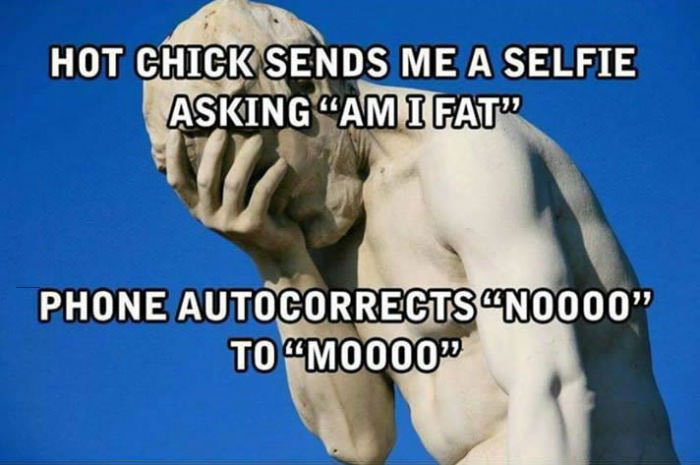 hot chick sends me a selfie asking "am i fat", phone autocorrects "noooo" to "moooo", meme